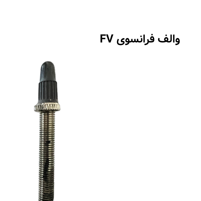 29x2-10-fv-60mm
