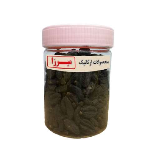 هلیله سیاه میرزا - 200 گرم 