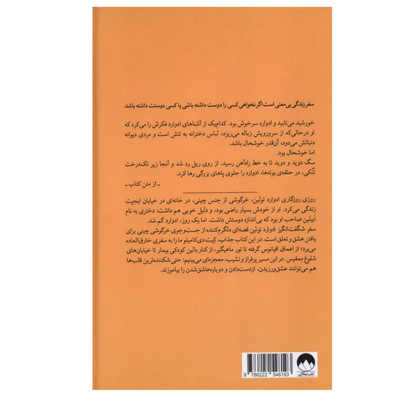 کتاب سفر شگفت‌انگیز ادوارد تولین اثر کیت دی کامیلو ترجمه لیلا محسنی نشر میلکان