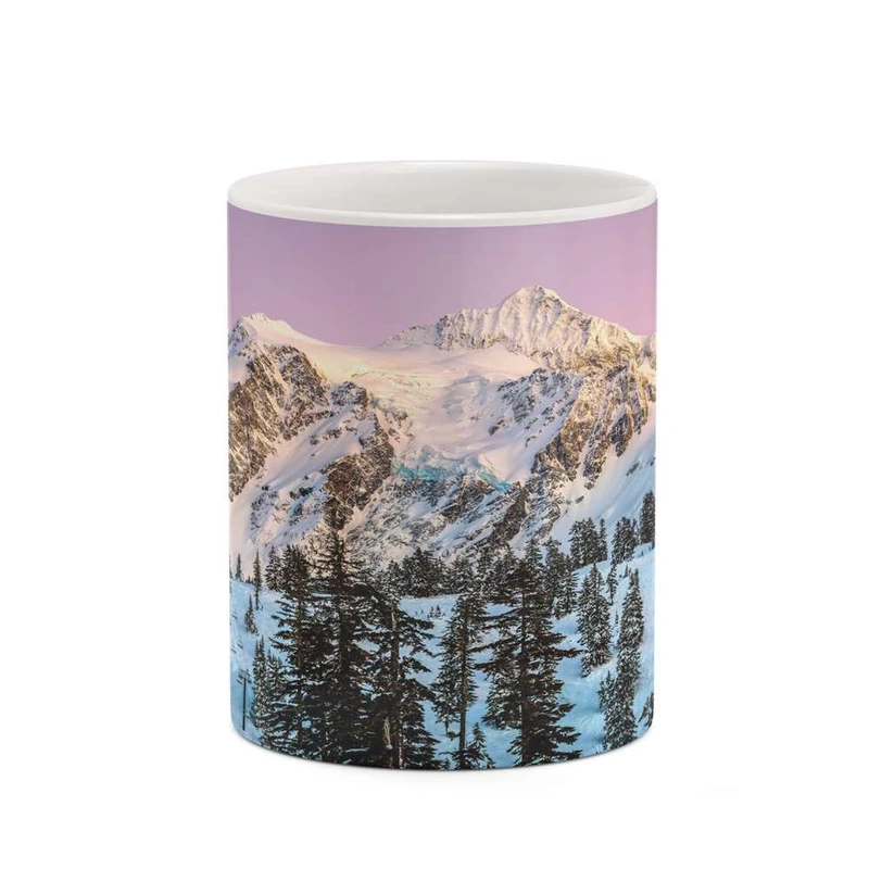 ماگ کاکتی مدل منظره برفی کد mgh18494