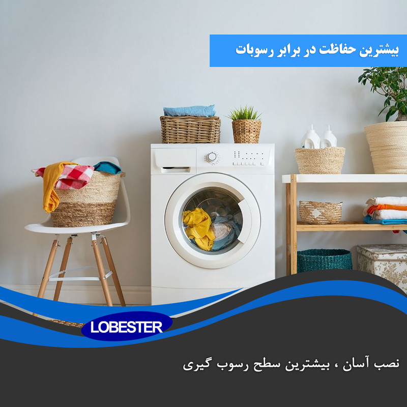 فیلتر رسوب‌گیر ماشین لباسشویی و ظرفشویی لابستر مدل 2/New-L100 مجموعه 2 عددی