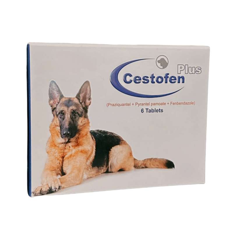قرص ضد انگل سگ و گربه مدل plus بسته 6 عددی