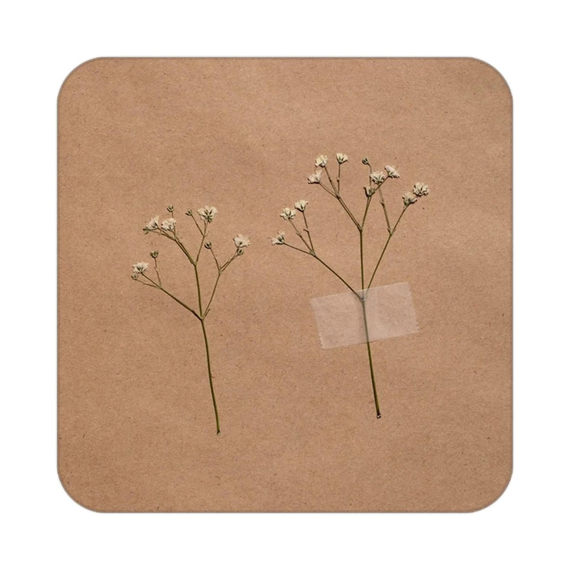 زیر لیوانی کاکتی طرح گل مدل mp17373