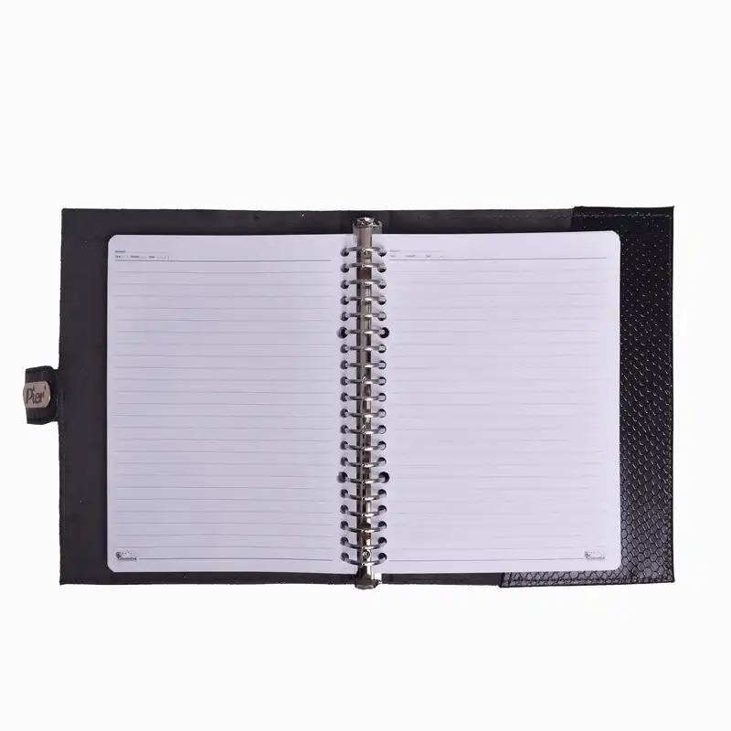 دفتر کلاسوری 100 برگ پیر پلاس مدل پاپیروس