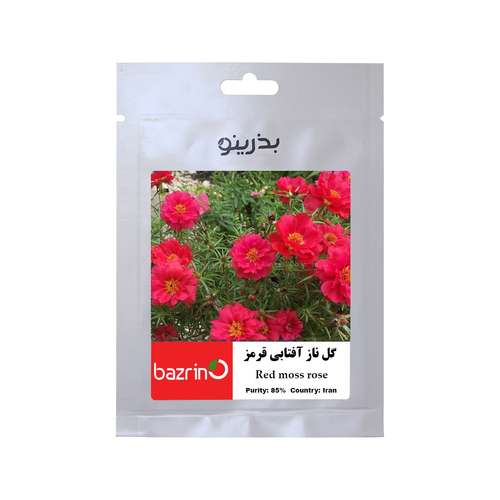بذر گل ناز آفتابی قرمز بذرینو کد BZNO-016