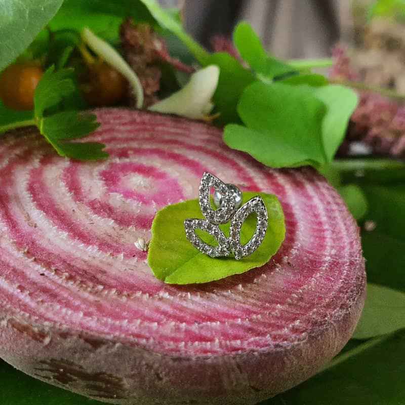 پیرسینگ گوش زنانه پایتخت مدل PS285