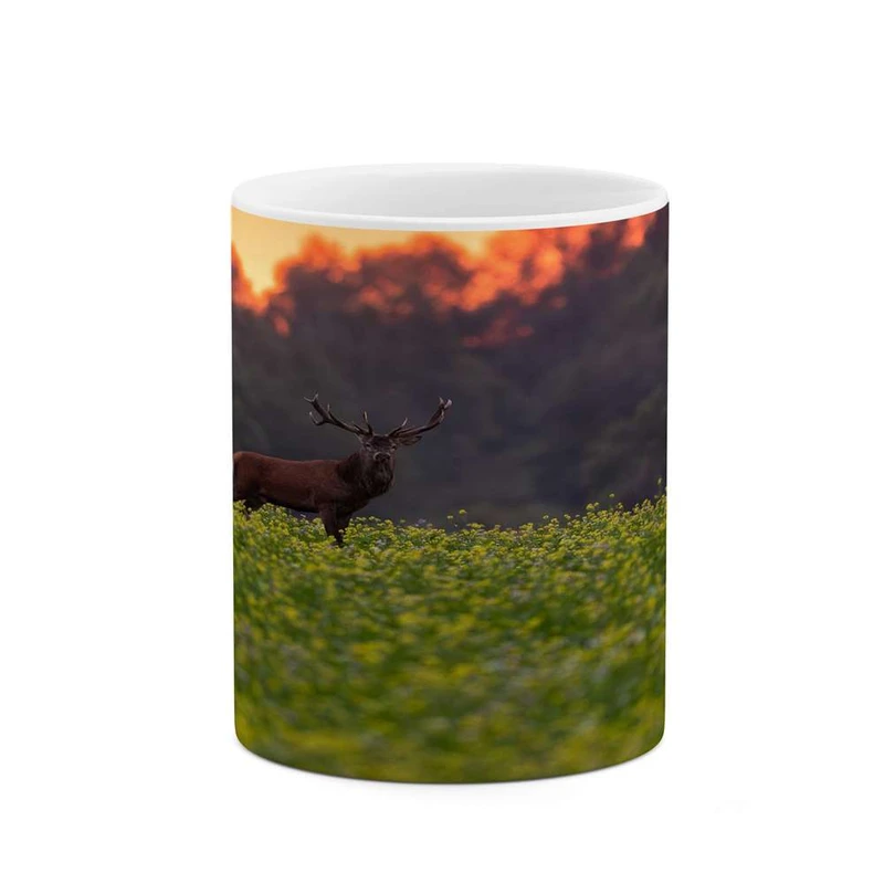 ماگ کاکتی مدل منظره کد mgh16019