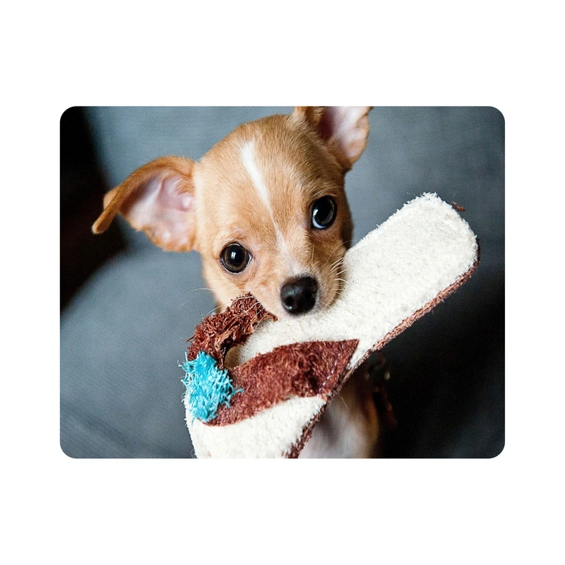 ماوس پد اطلس آبی طرح سگ و دمپایی مدل T1517