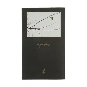 کتاب در شب دیرند اثر محمد صنعت‌کار انتشارات آگه