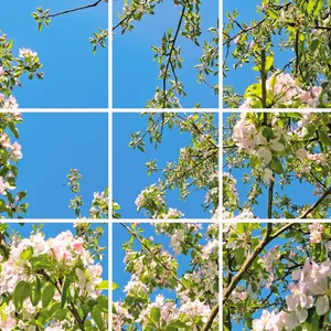 تایل سقفی آسمان مجازی مدل SK-420-3x3 سایز 60x60 مجموعه نه عددی