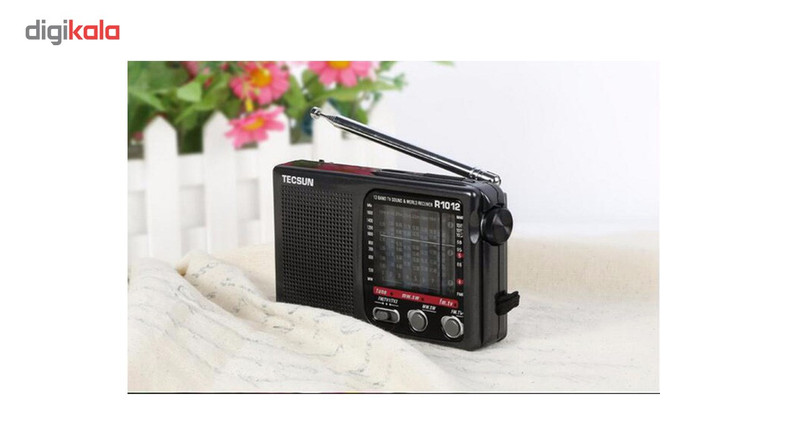 رادیو تکسان مدل R1012