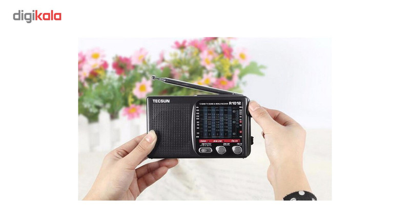 رادیو تکسان مدل R1012