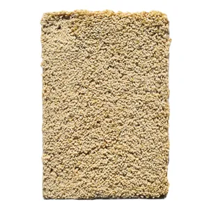 موکت ظریف مصور طرح سیدنی کلاسیک کرم  کد 5213
