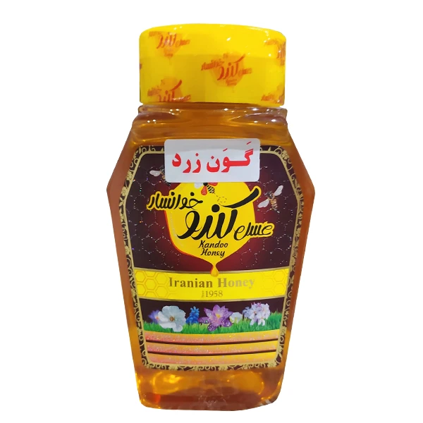 عسل گون زرد کندو خوانسار - 500 گرم