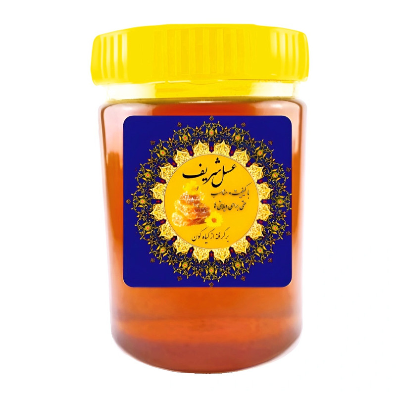 عسل طبیعی گَوَن شریف - 500 گرم