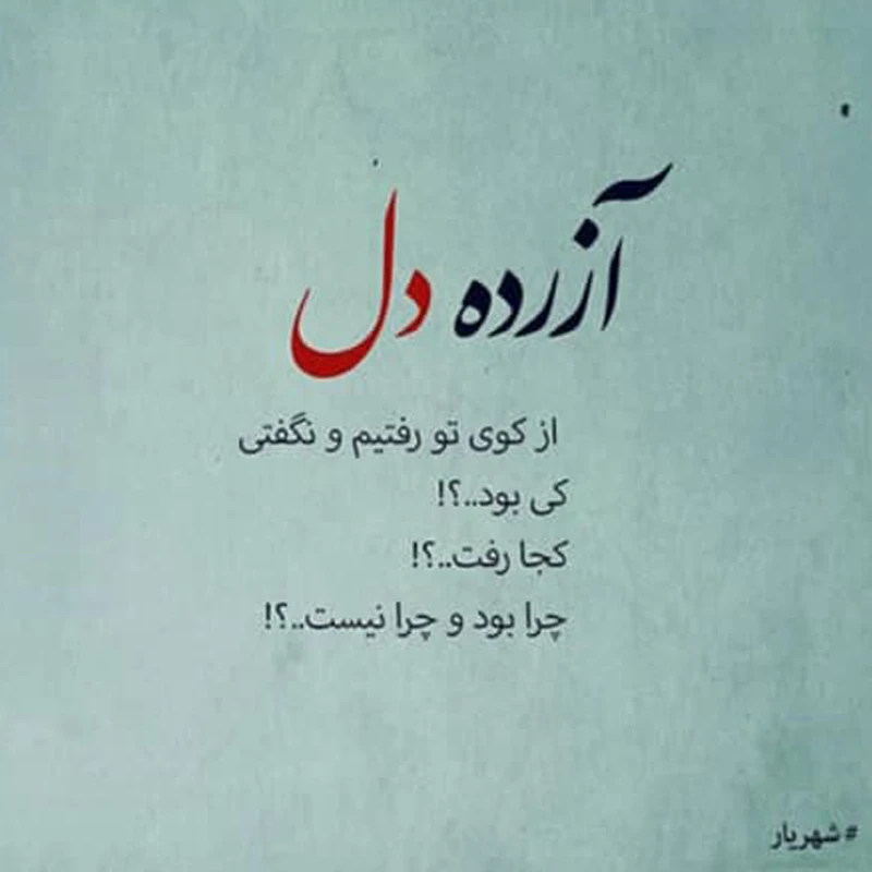 عکس شماره 3