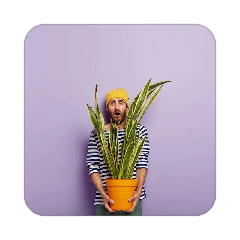 زیر لیوانی کاکتی طرح گل مدل mp19388