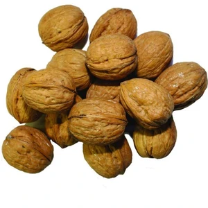 گردو با پوست 1000 گرم