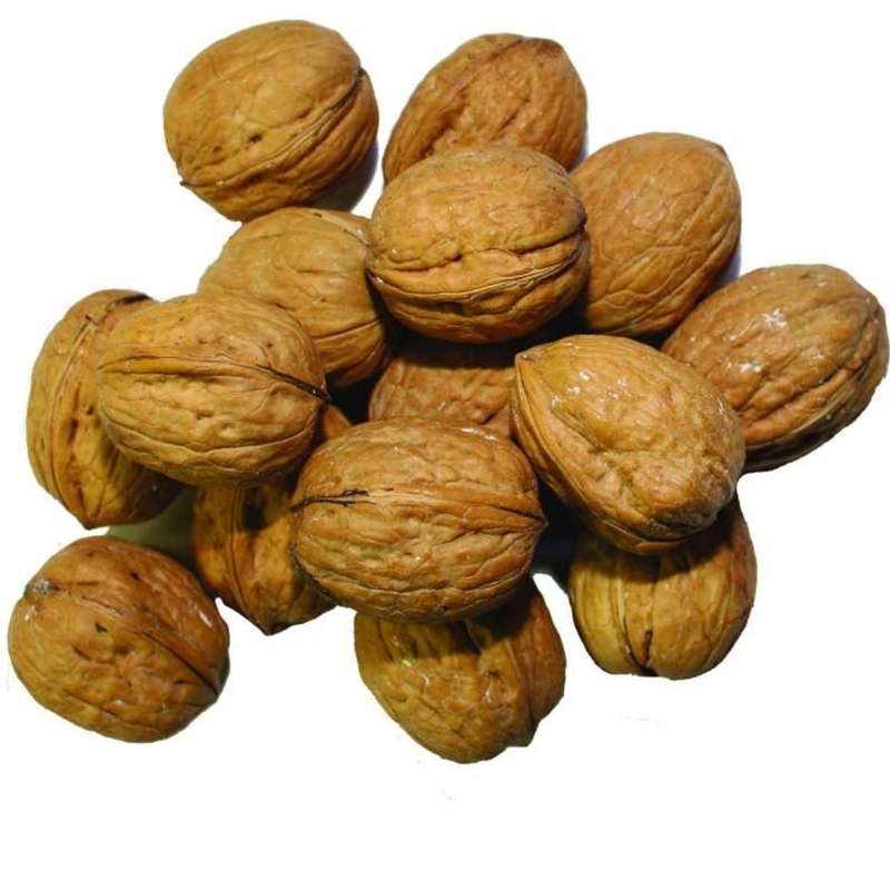 گردو با پوست 1000 گرم