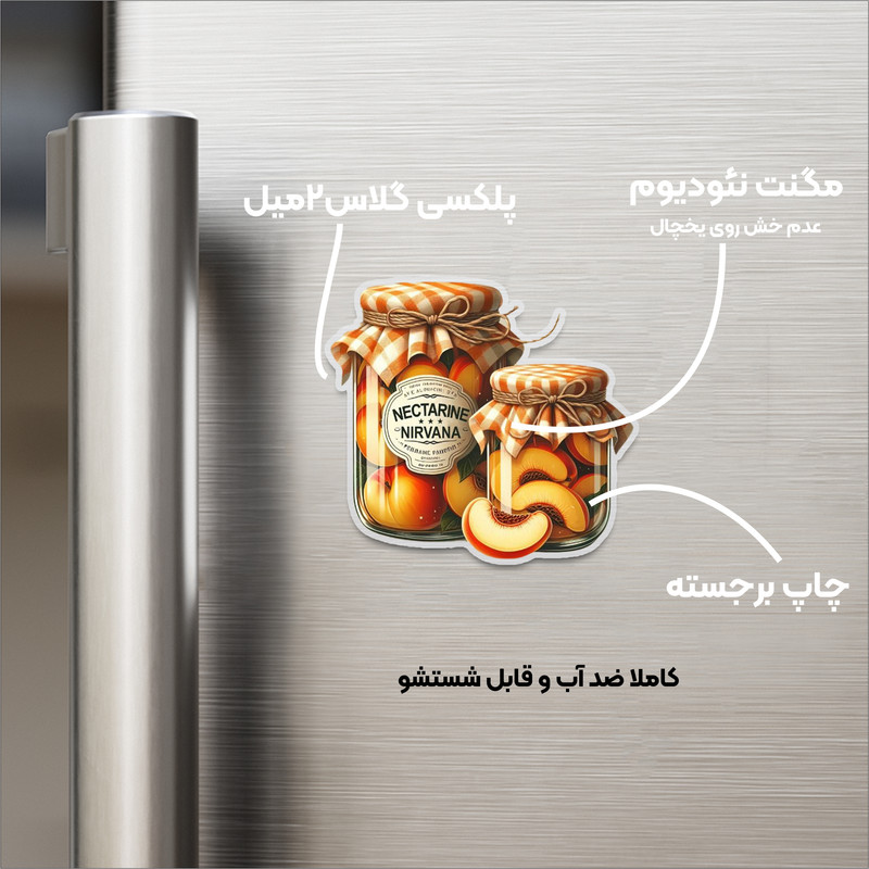 مگنت مدل یخچالی طرح شیشه هلو