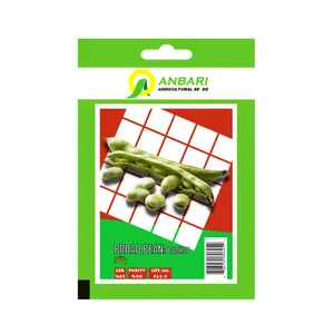 بذر باقلا عنبری کد BZA-044