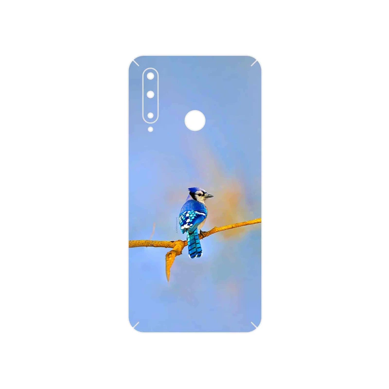 برچسب پوششی ماهوت مدل Cyanocitta cristata مناسب برای گوشی موبایل آنر 20 Lite