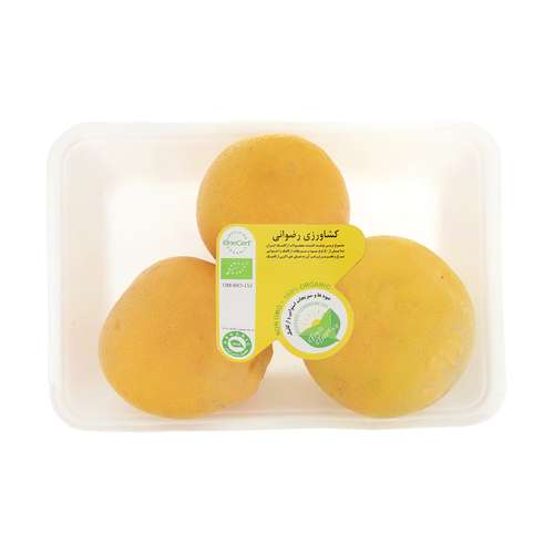 پرتقال تو سرخ رضوانی - 1 کیلوگرم