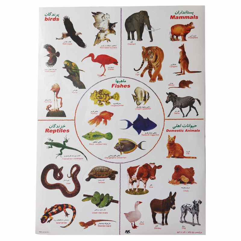 برچسب مدل آموزشی کودک طرح پرندگان و حیوانات کد 23 بسته 2 عددی برچسب مدل آموزشی کودک طرح پرندگان و حیوانات کد 23 بسته 2 عددی