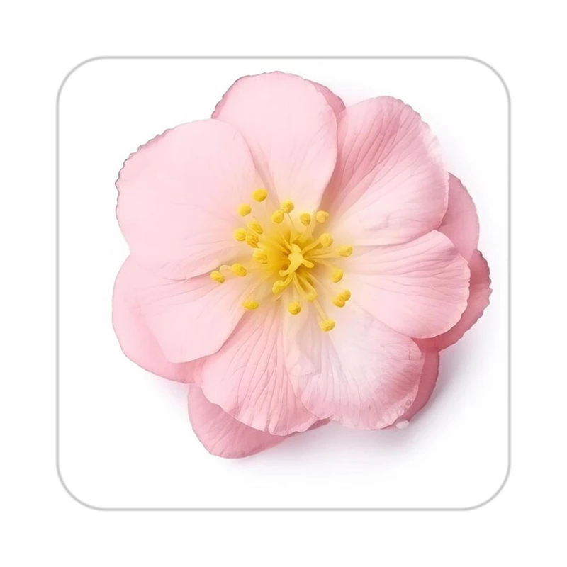 زیر لیوانی کاکتی طرح گل مدل mp17537