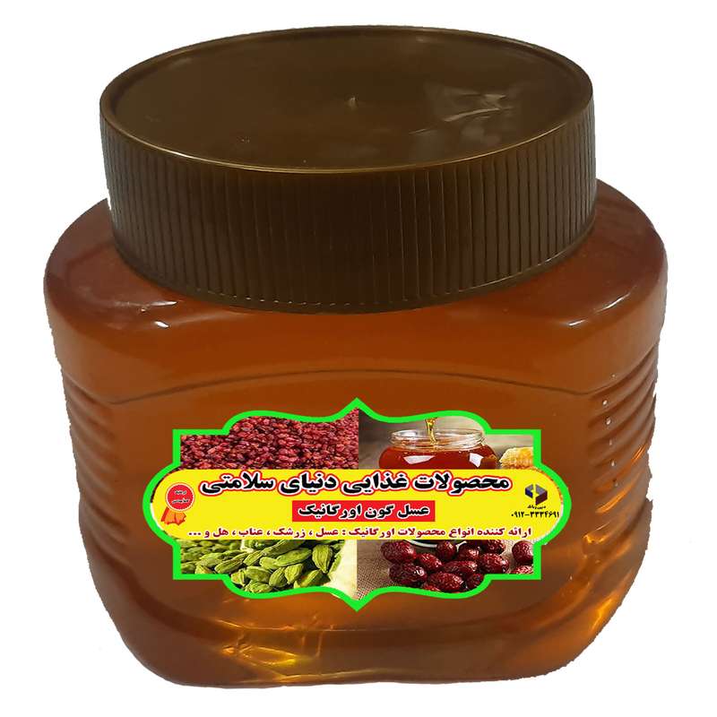 عسل گون اورگانیک - 500 گرم