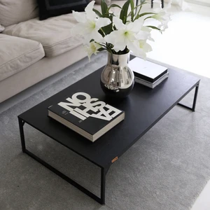 میز جلومبلی مستطیل با پایه فلز و صفحه mdf دیزم مدل مونتاژی of_100×60