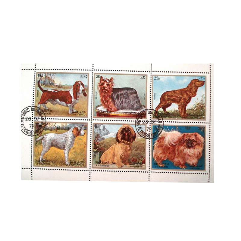 تمبر یادگاری مدل نژاد سگ ها کد DS2194 مجموعه 6 عددی