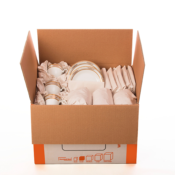 کارتن اسباب کشی ایزیپک مدل Small Box بسته 10 عددی