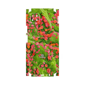 MAHOOT Atom Universe 3-FullSkin Cover Sticker for Huawei Nova Y60