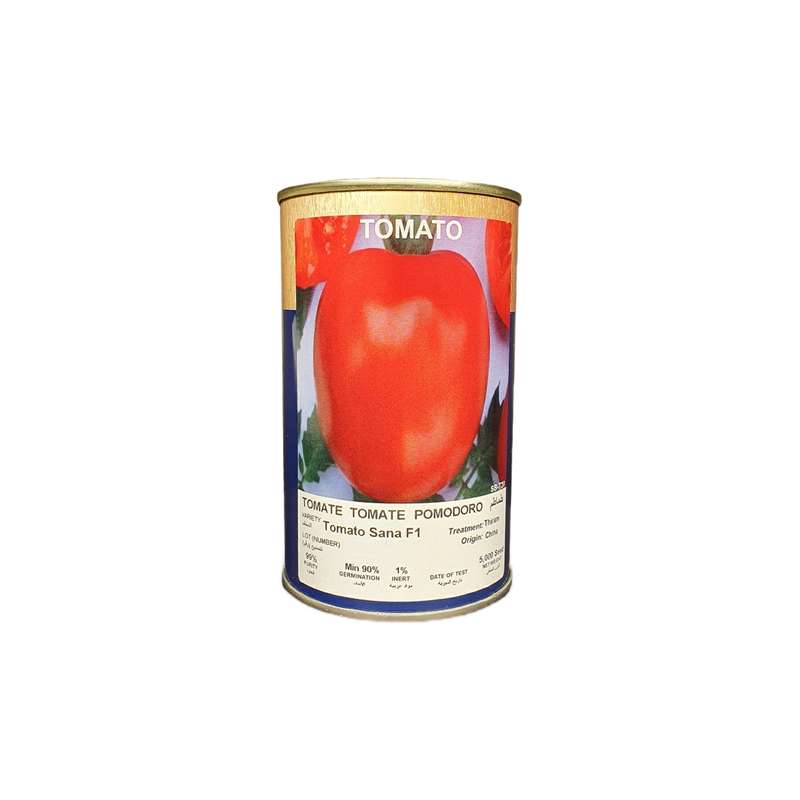بذر گوجه فرنگی ثنا مدل 123