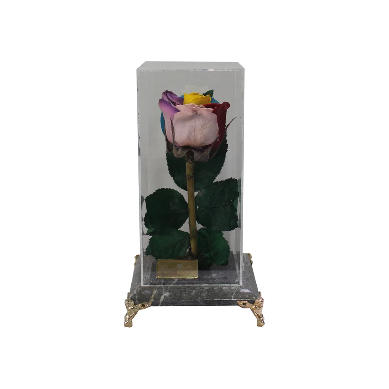 گل رز جاودان مدل پایه فرشته بلند 7