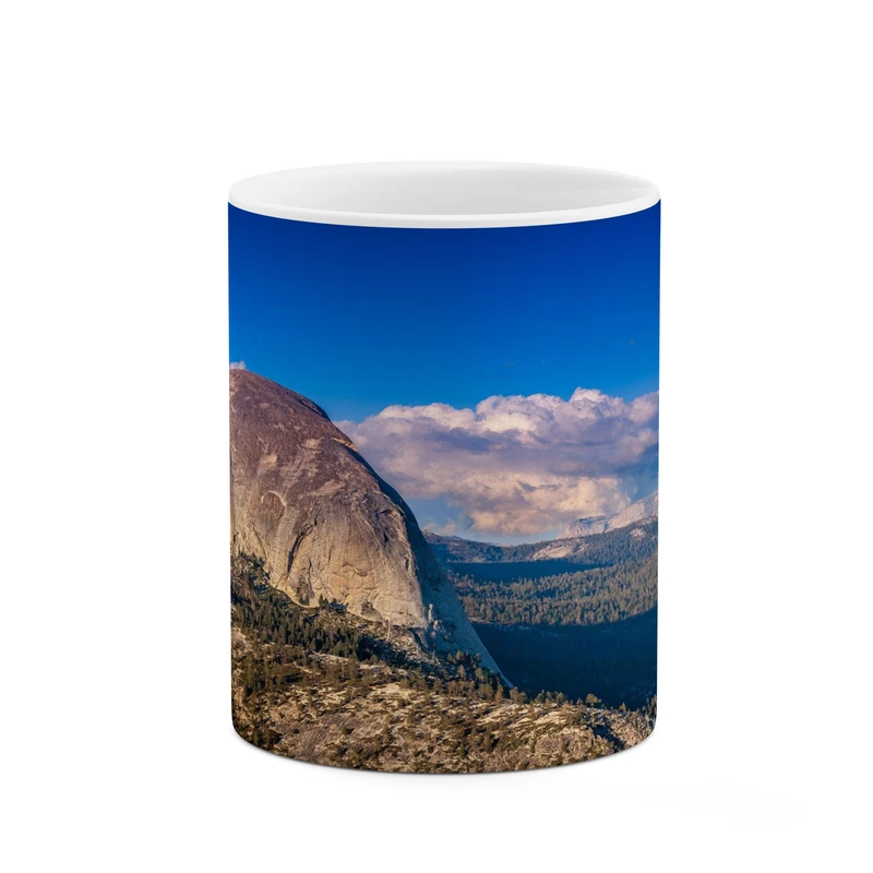 ماگ کاکتی مدل منظره کد mgh17773