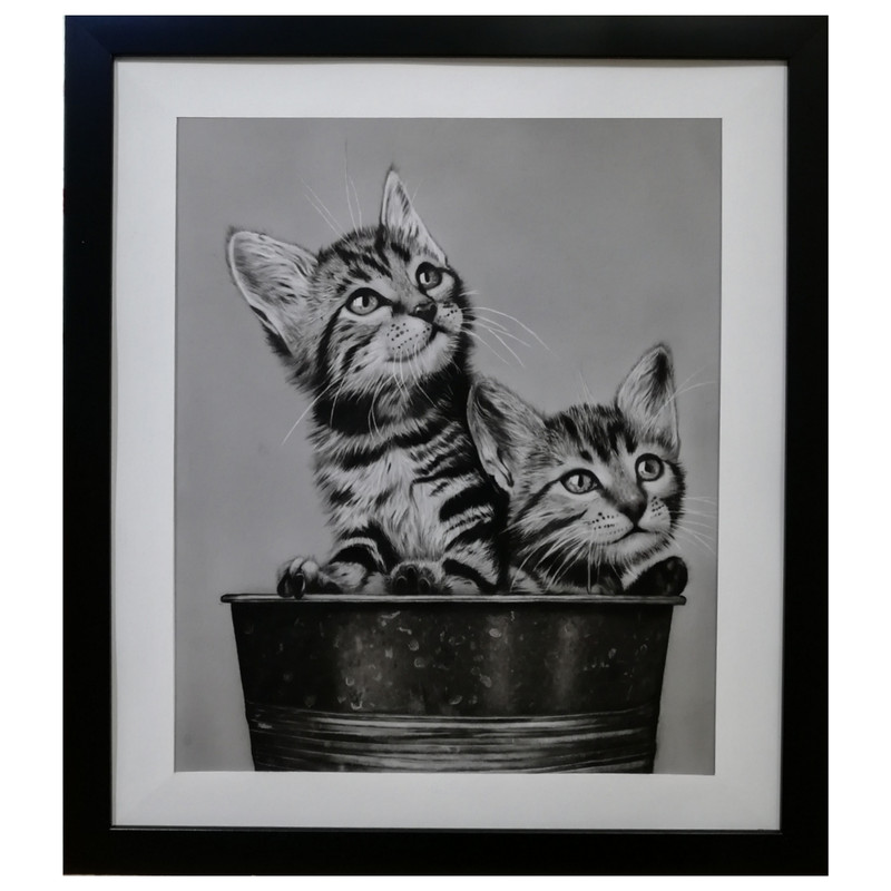 تابلو نقاشی سیاه قلم طرح گربه های کنجکاو