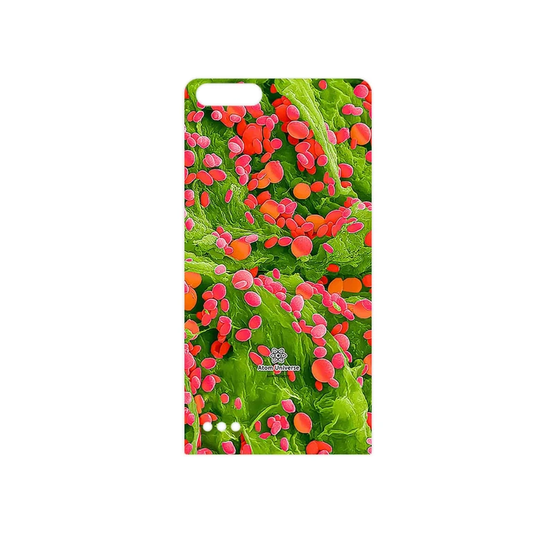 برچسب پوششی ماهوت مدل Atom Universe 3 مناسب برای گوشی موبایل هوآوی Ascend G6