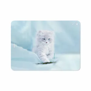 MAHOOT Cat-1 Cover Sticker for Apple iPad Pro 11 2018 A1979