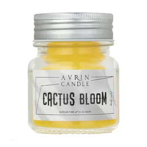 شمع معطر اورین مدل آترین کاکتوس