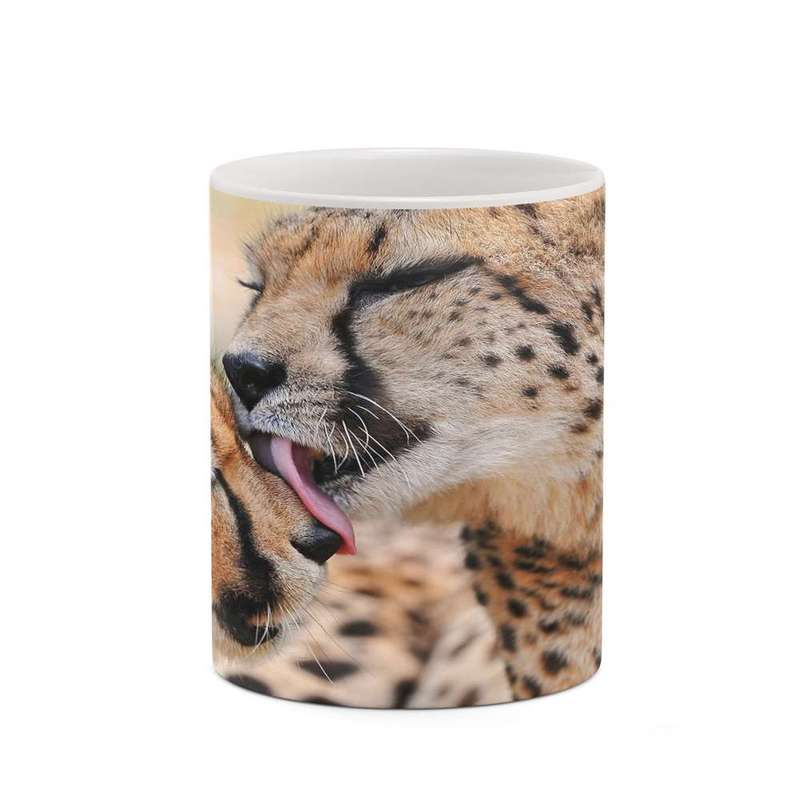 ماگ کاکتی مدل پلنگ کد mgh19246