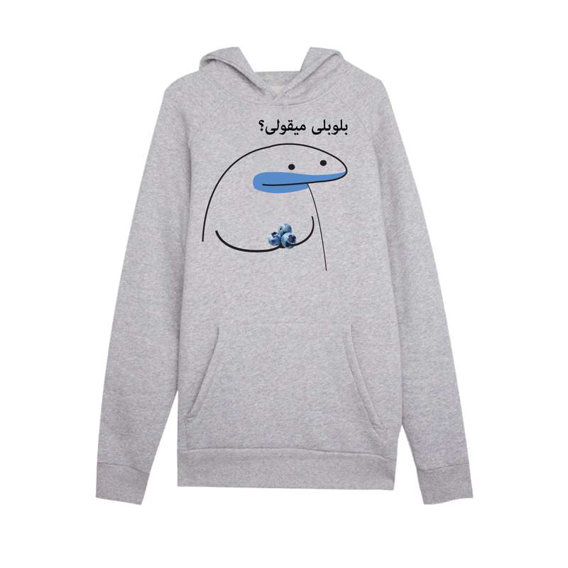 هودی زنانه مدل میقولی کد 2406