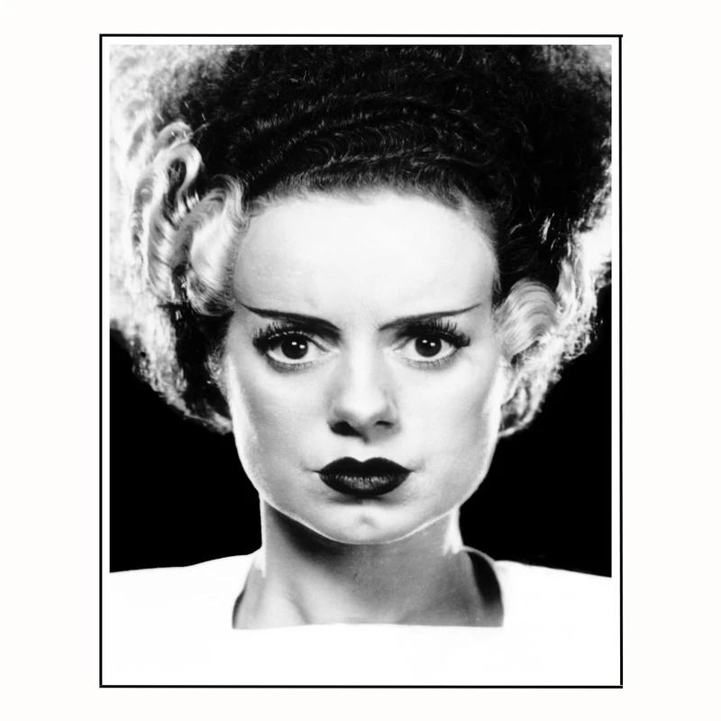 پوستر مدل نقاشی عکاسی از پرتره عروس فرانکن‌اشتاین 