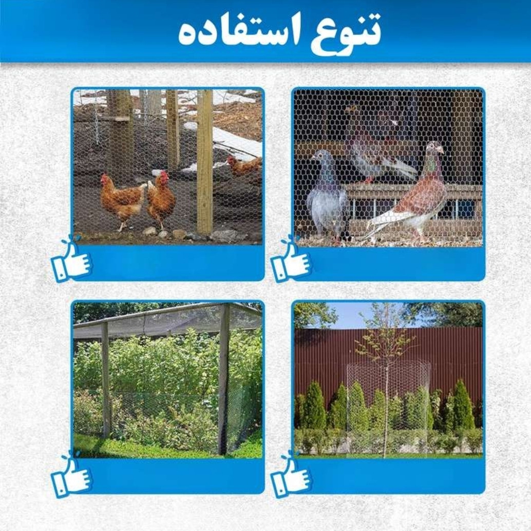 توری مرغی مدل فرنگی H150 طول 20 متر