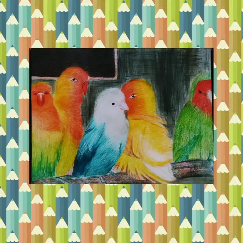 نقاشی مدادرنگی مدل اشیانه