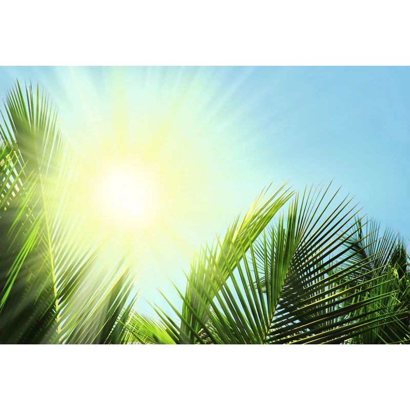 تابلو شاسی مدل نور خورشید و آسمان و برگ T7084