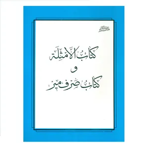 کتاب الامثله و کتاب صرف میر اثر میر سیدعلی شریف جرجانی انتشارات منیر