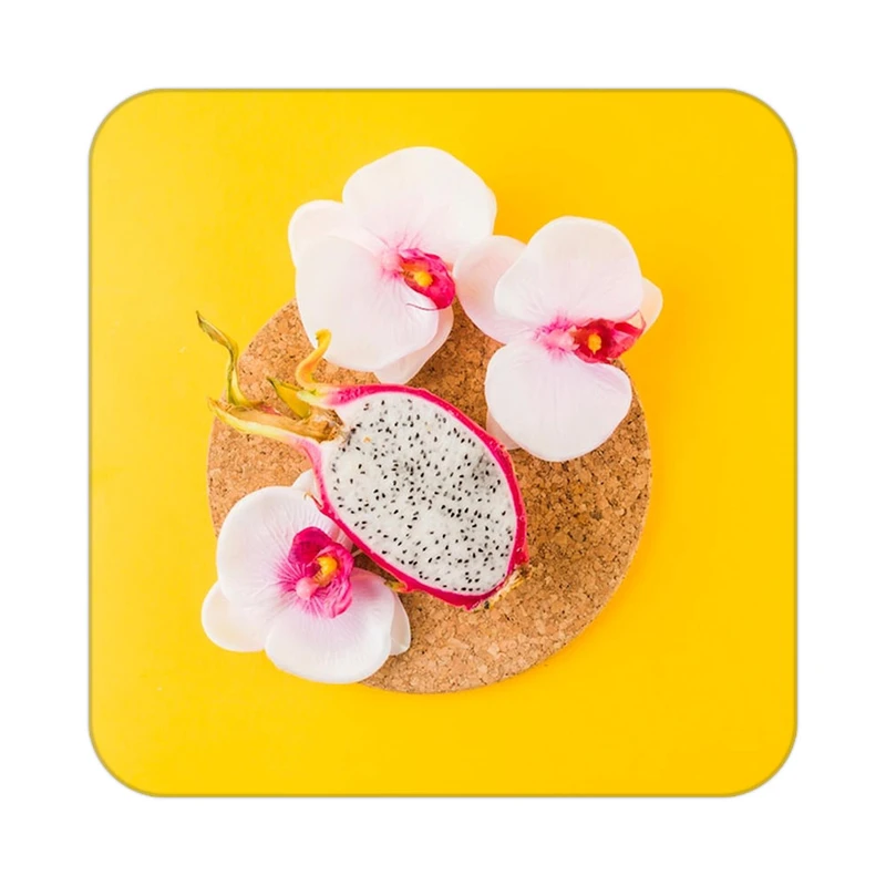 زیر لیوانی کاکتی طرح میوه مدل mp21103