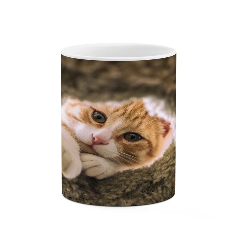 ماگ کاکتی مدل گربه کد mgh17157